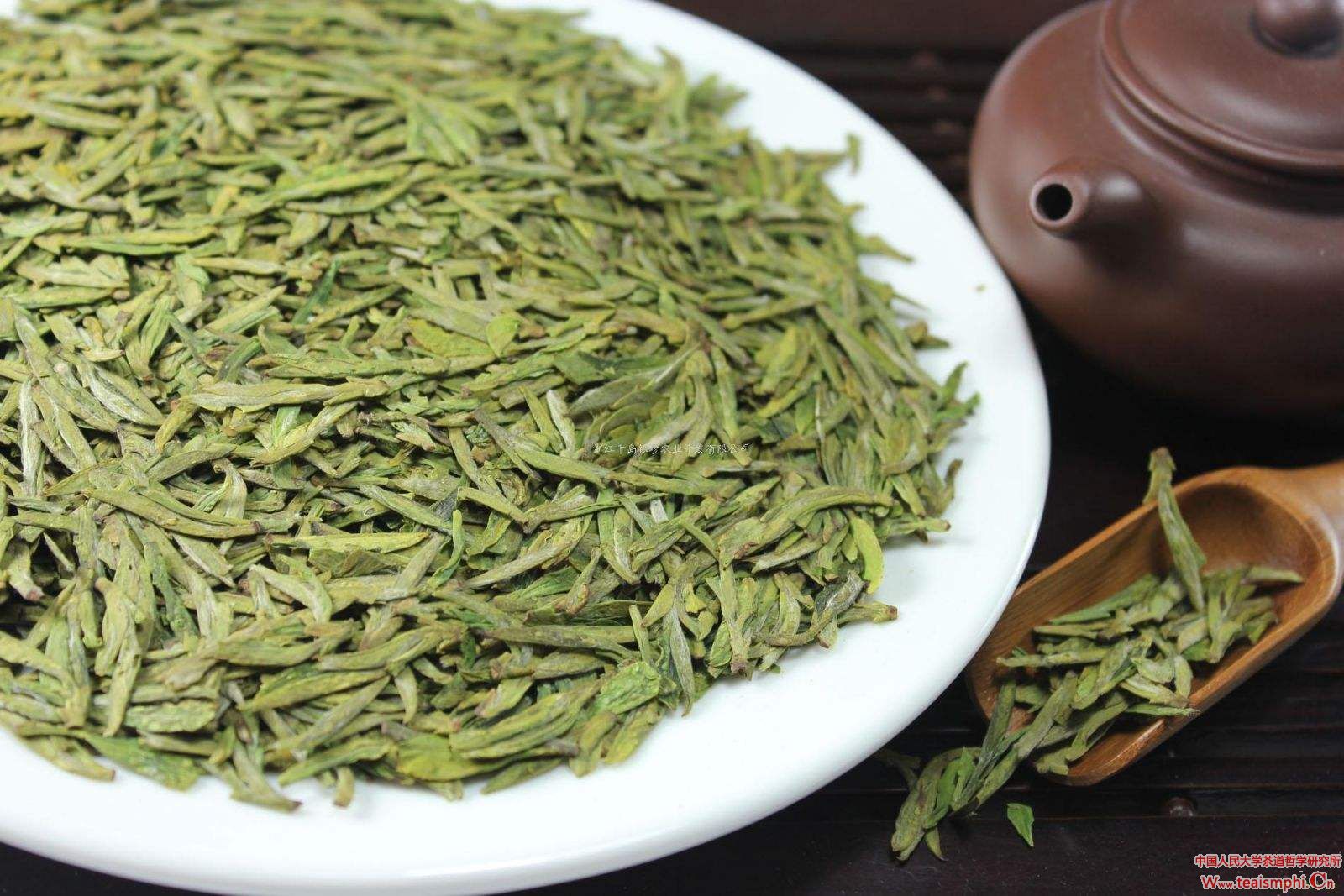 【哲学家茶座第十讲】（一） ：茶叶原产中国